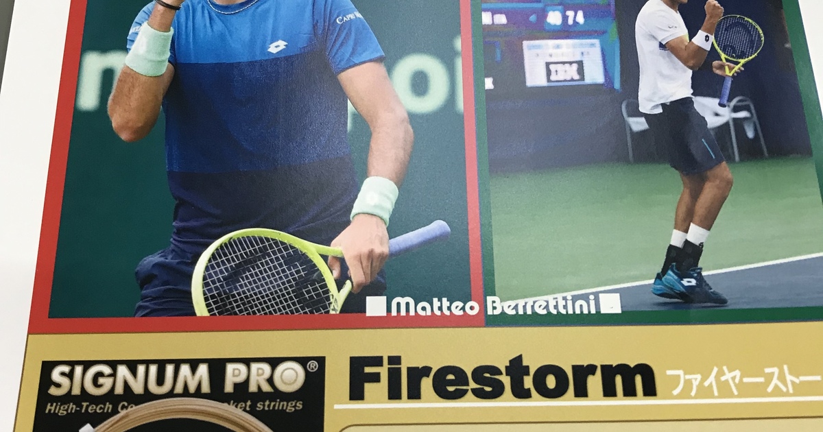 マッテオ ベレッティーニ使用 | テニスを集中してやるなら、登戸のテニススクールがベストです